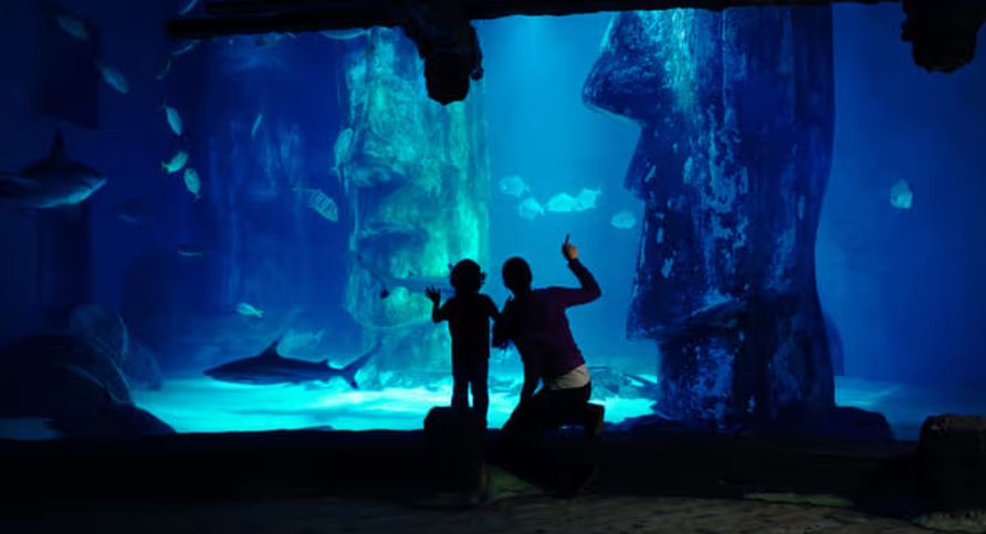 伦敦海洋生物水族馆游玩攻略