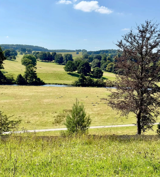 英式园林的典范—查茨沃斯庄园