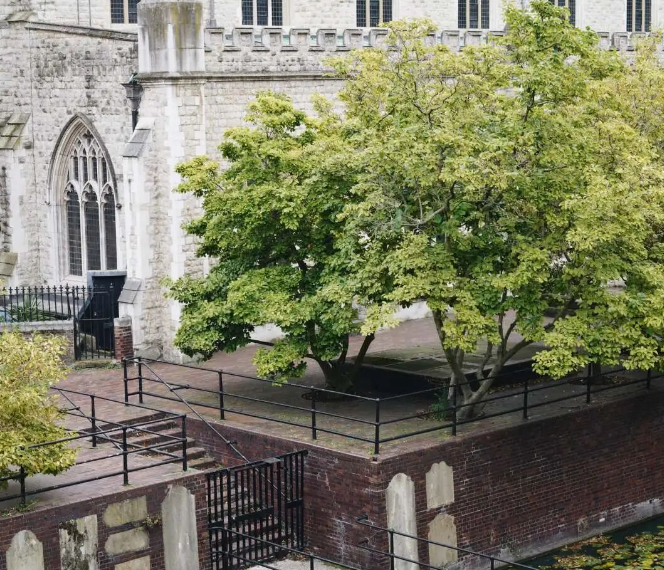 伦敦必打卡的艺术景点