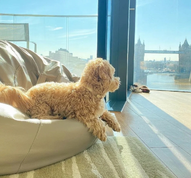 伦敦家庭度假酒店盘点