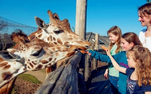 英国超赞亲子游景点盘点