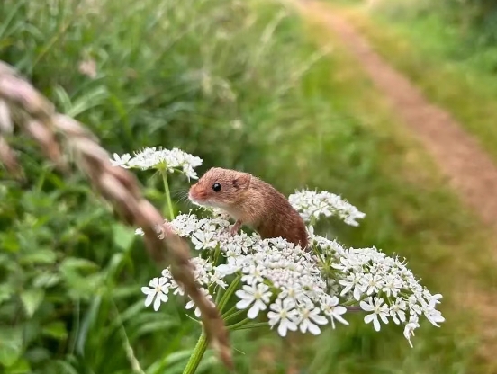 英国超赞亲子游景点盘点