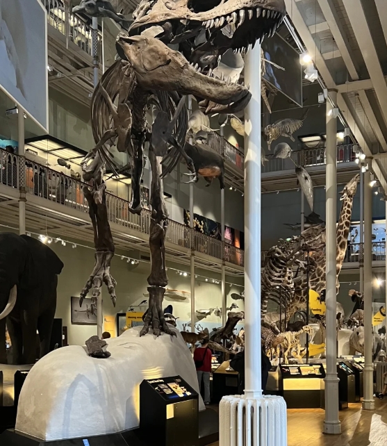 爱丁堡必打卡景点推荐