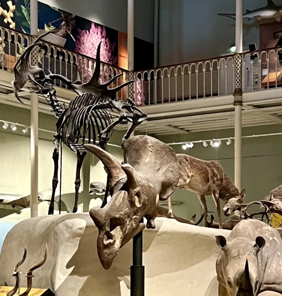 爱丁堡必打卡景点推荐