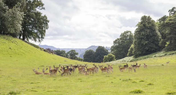 英国绝美小众旅游景点推荐