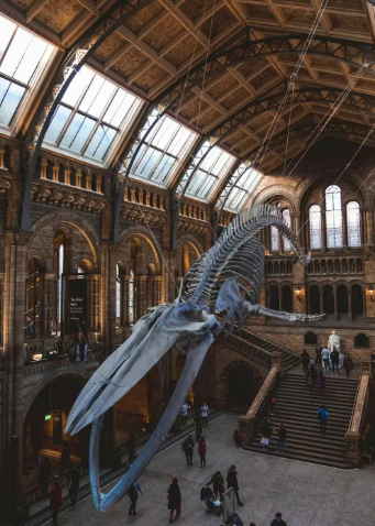 伦敦有哪些博物馆