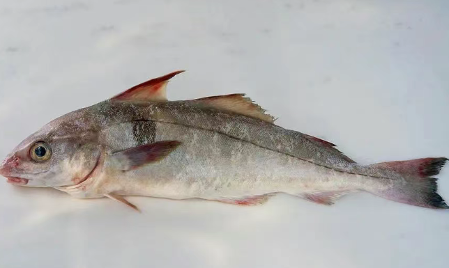 英国海鲜购买全攻略