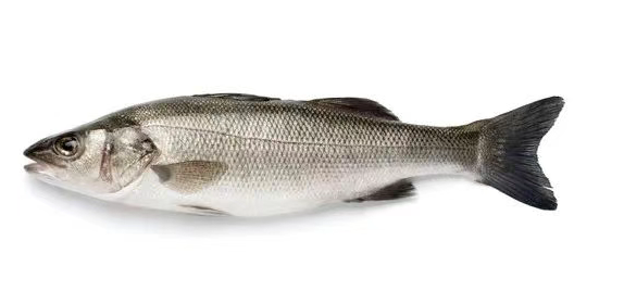 英国海鲜购买全攻略