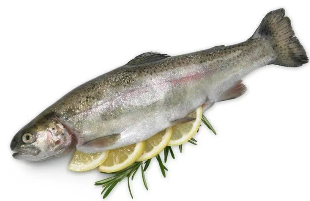 英国海鲜购买全攻略