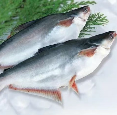 英国海鲜购买全攻略