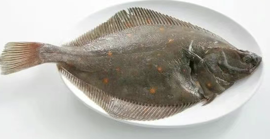 英国海鲜购买全攻略