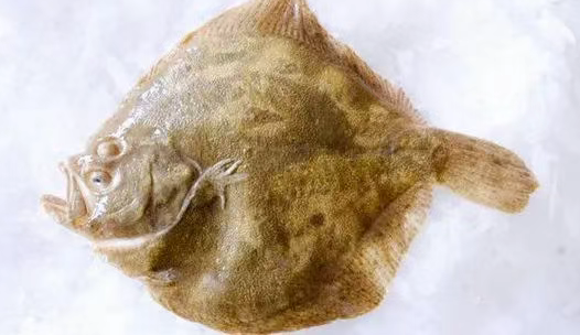 英国海鲜购买全攻略