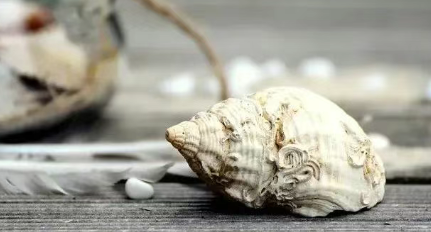 英国海鲜购买全攻略