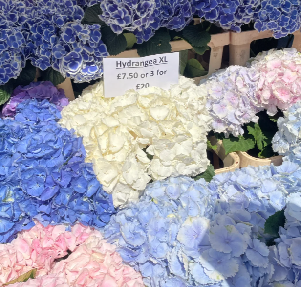 英国哪些地方可以买花？特色花店推荐