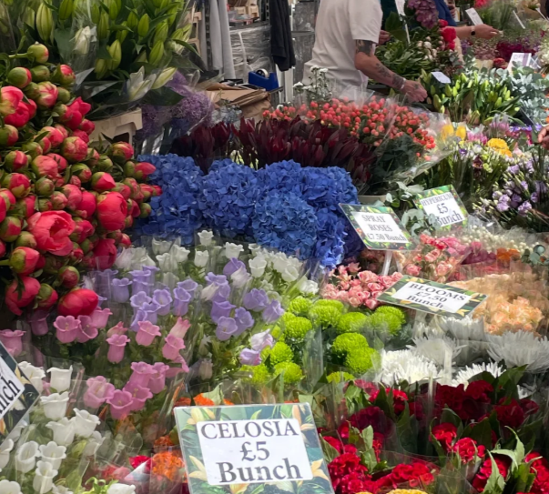 英国哪些地方可以买花？特色花店推荐