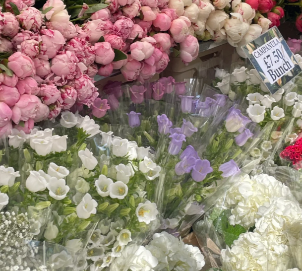 英国哪些地方可以买花？特色花店推荐
