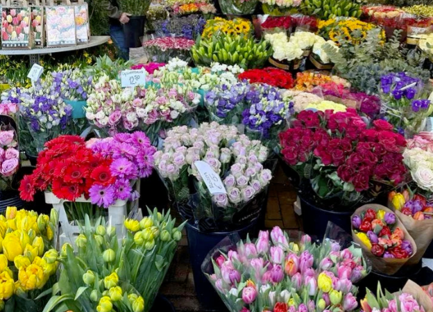 英国哪些地方可以买花？特色花店推荐