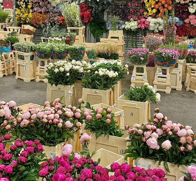 英国哪些地方可以买花？特色花店推荐