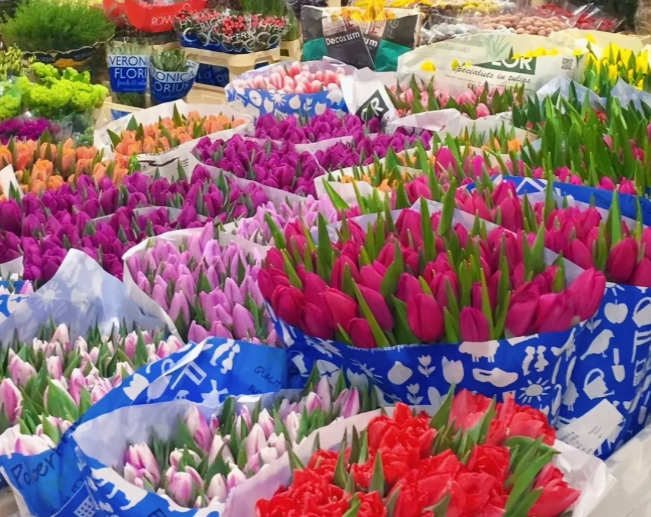 英国哪些地方可以买花？特色花店推荐