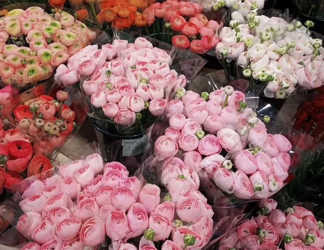 英国哪些地方可以买花？特色花店推荐