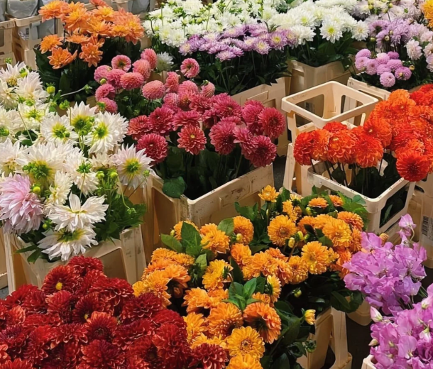 英国哪些地方可以买花？特色花店推荐