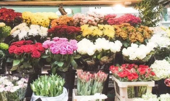 英国哪些地方可以买花？特色花店推荐