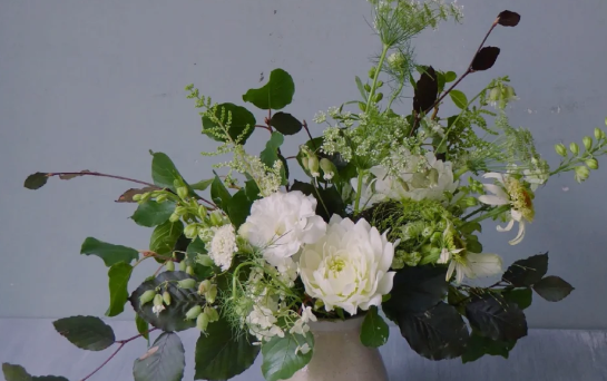 英国哪些地方可以买花？特色花店推荐