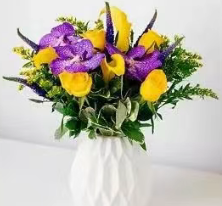 英国哪些地方可以买花？特色花店推荐