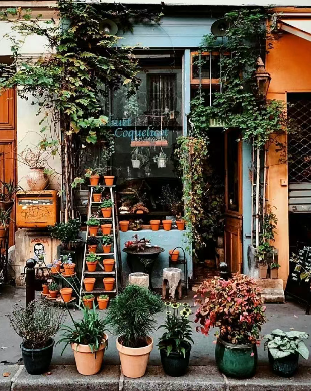 英国哪些地方可以买花？特色花店推荐