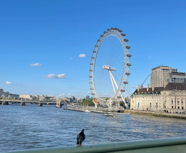 英国搬家全攻略|从备到收尾不踩坑