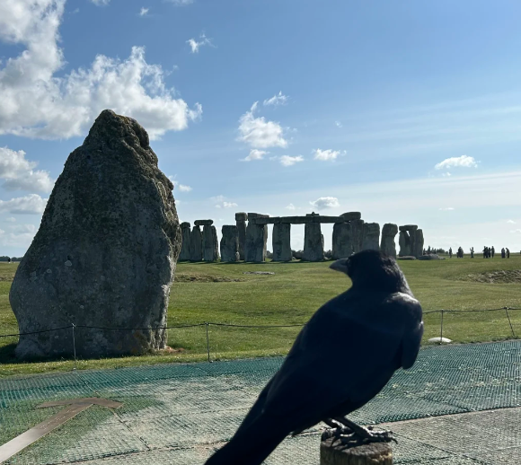 英国巨石阵 Stonehenge 超全攻略|2026 最新版