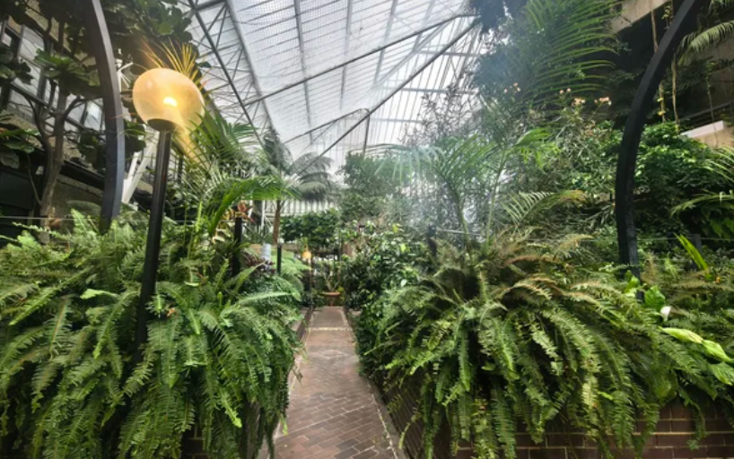 2026 年 3 月伦敦有哪些必看展览？