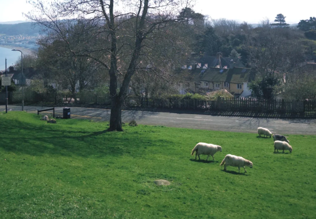 “英国小瑞士”威尔士兰迪德诺（Llandudno）怎么玩？