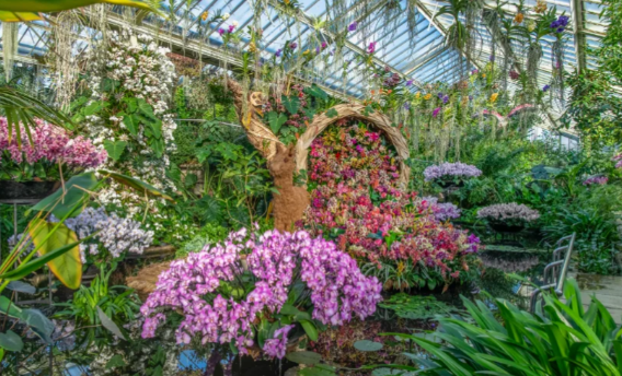 英国三月去哪玩?十大春季必去活动推荐