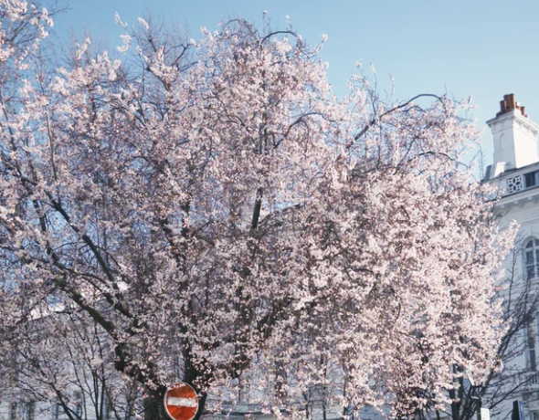 英国三月去哪玩?十大春季必去活动推荐