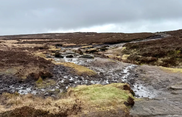 英国必去的自然景区推荐 | 从湖区到高地全攻略