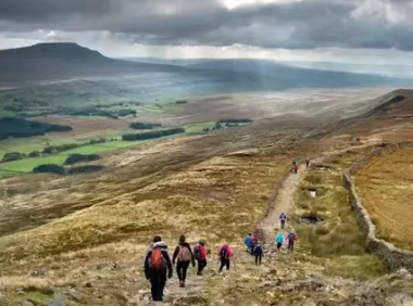 英国最适合徒步的十条森林步道