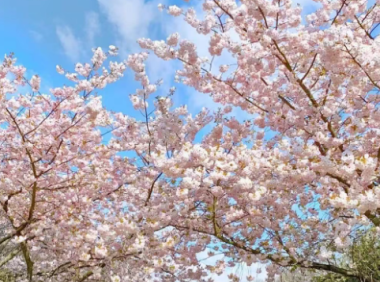 2025英国3-5月精彩活动盘点